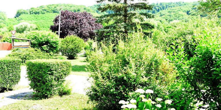 Panoráma