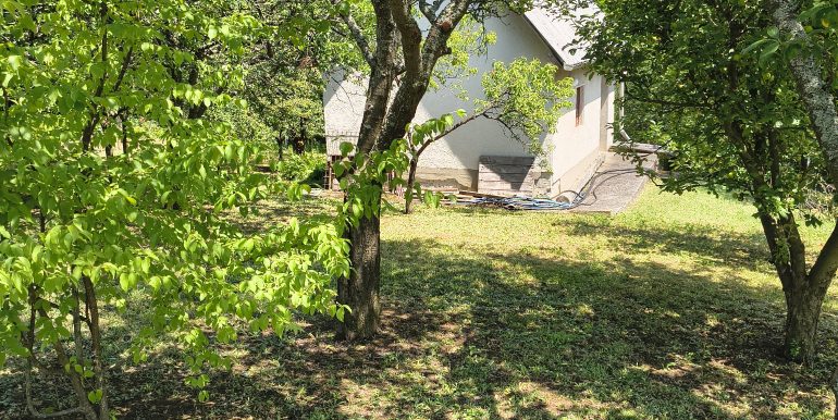 IMG_20260622_120759254_HDR