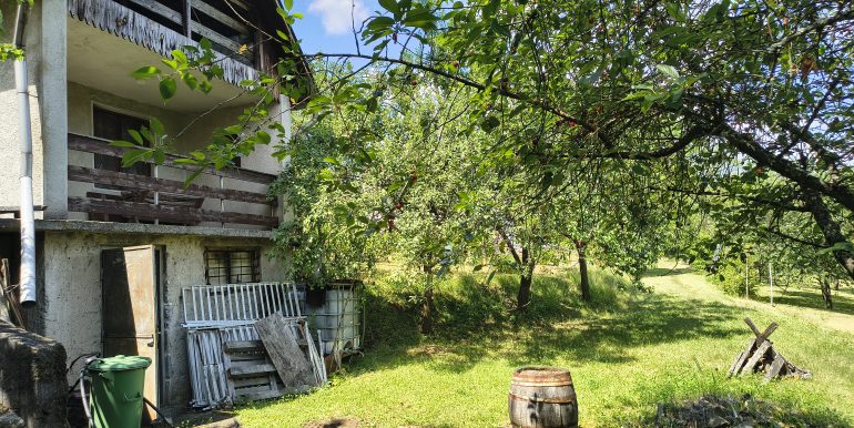 IMG_20260622_120915603_HDR